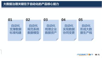 以自動化為核心的自服務(wù)大數(shù)據(jù)治理——普元王軒在第二屆數(shù)據(jù)標(biāo)準(zhǔn)化及治理大會上的分享